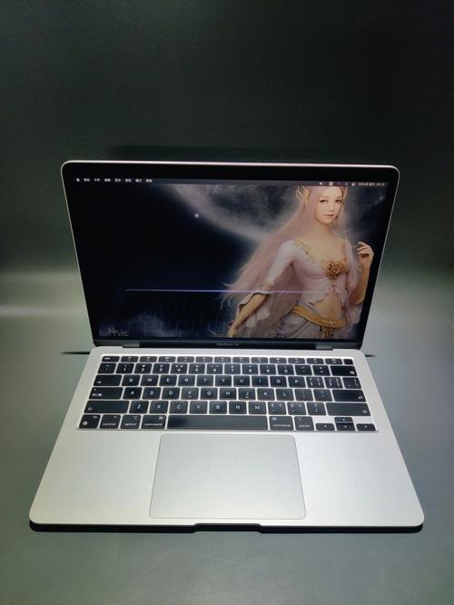 Apple 苹果MacBook Air M1 2020款芯片版13.3英寸轻薄本-适用对象