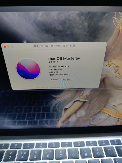 Apple 苹果MacBook Air M1 2020款芯片版13.3英寸轻薄本-适用对象