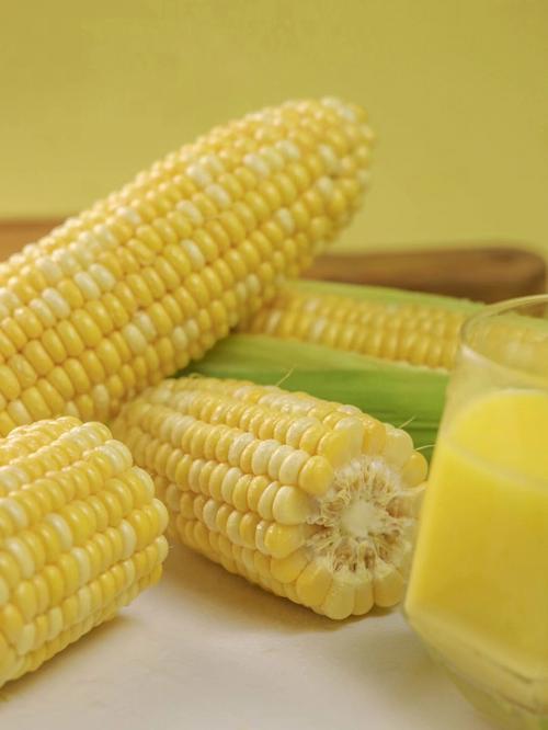 玉米的果皮和种皮分别是怎样的