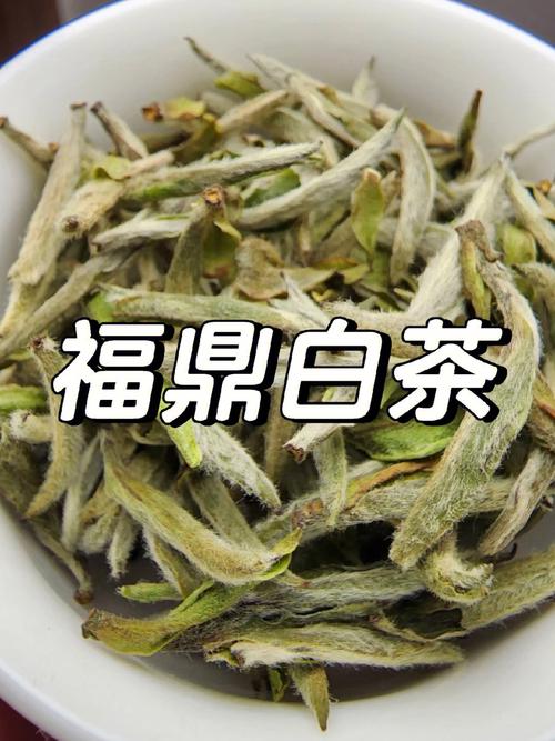 荒野福鼎白茶多少钱一饼