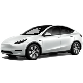 TESLA特斯拉ModelY